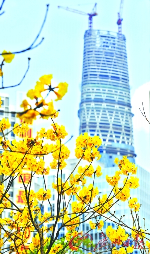 �V�ݴ���Ͽ��Կ�������Ԋ����S���L�ľ��