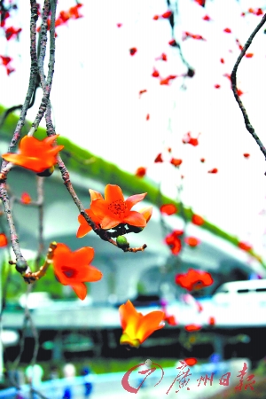 �л�ľ�޻��ڏV��̎̎ʢ�_��