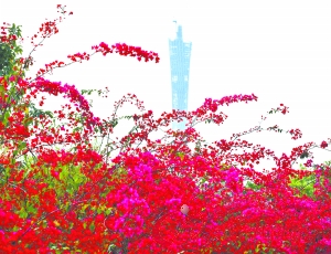 ��t�ĺ{���N�`�����R����������h̎���Ǹ����Ƶ��ҕ����