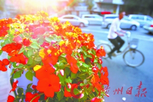 С��·���o�ڔ[�M�r��