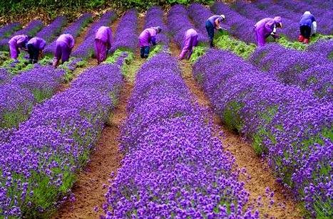 �c���g�[��һ��