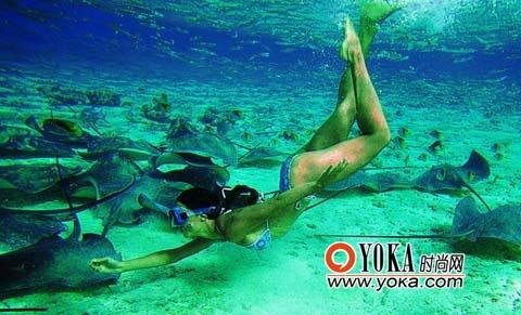 �c���g�[��һ��