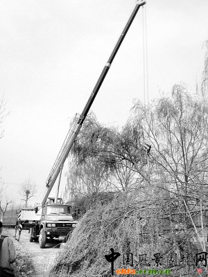 ����к����@�־ַe�O�M����ľ���ؽ��O(�D)