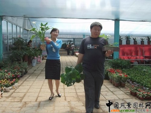 �����S���(zh��n)��"��һ"С�L(zh��ng)�� �����N�ۮ�����(�M�D)