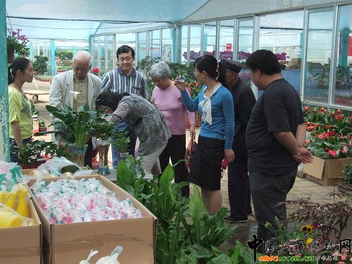 �����S���(zh��n)��"��һ"С�L(zh��ng)�� �����N�ۮ�����(�M�D)