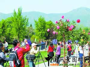 ����ֲ��@����¼���ǰһ�¾`��(�D)