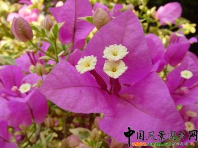 ����÷������Ҫ�c