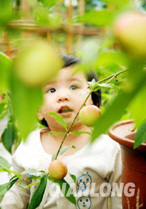 ���������ܴ��^�@�������������ҡ���һ�����