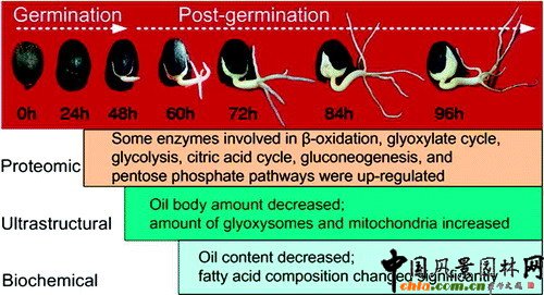 ������͘�N�����鯂����֬�ӆT�W�j������