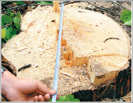 һ�ñ������ֱ����60������