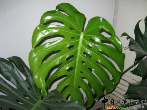 ��������������