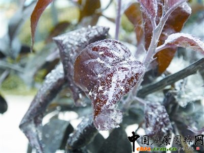 �������V���Ҙ��[�x��(�D)