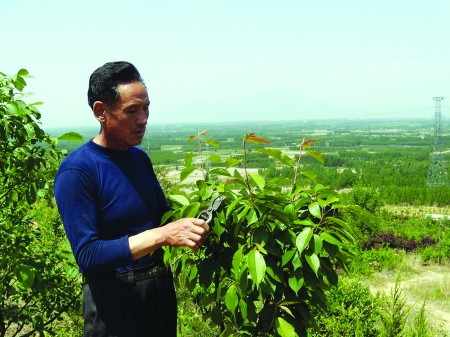 �O�B܊�󲿷֕r�g��ɽ���޼����䡣