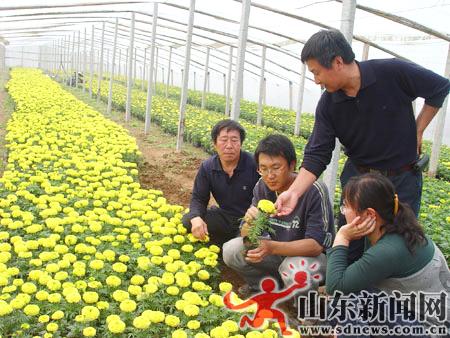 ɽ�|��Ҋ��(x��)��W(xu��)���ɞ黨�r(n��ng)�����G�G��