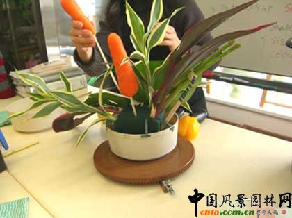 �N�����ܴ��䷽��(�M�D)