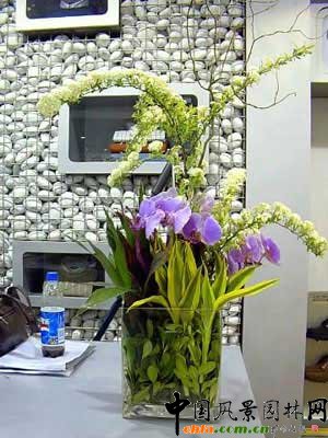 �N�����ܴ��䷽��(�M�D)