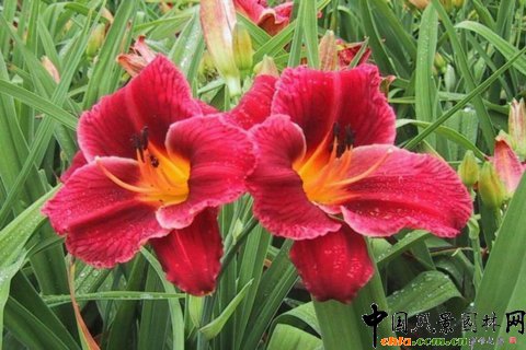 �Ї��ġ�ĸ�H���������(�D)