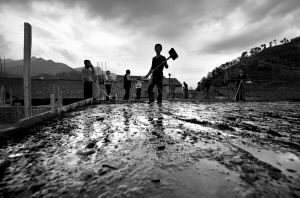 �c�����´��ڞg�[�DƬ