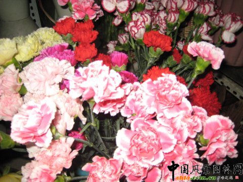 ĸ�H�������r�����N(�D)