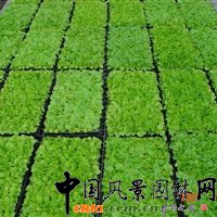 ��������é