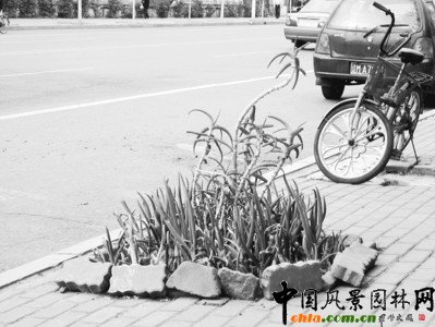 ��ꖣ�·߅��Ӿ����N�ϴ��[(�D)