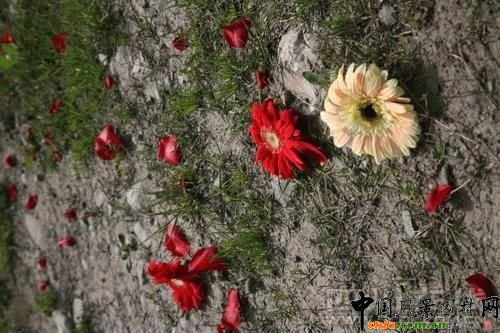 512�����r������ą^��������(�D)