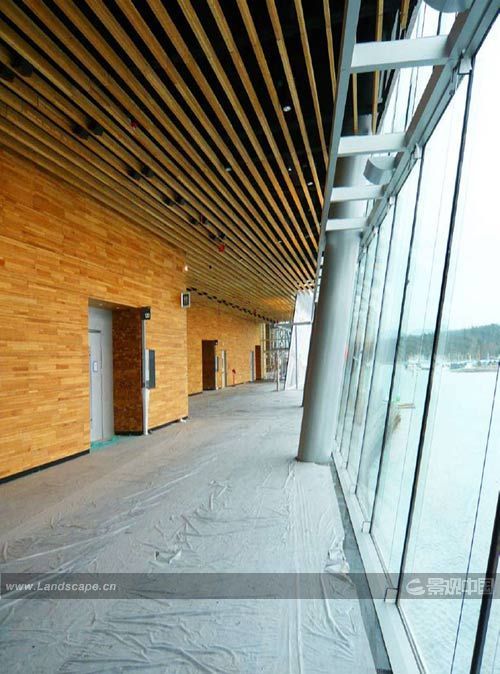 �c�����´��ڞg�[�DƬ