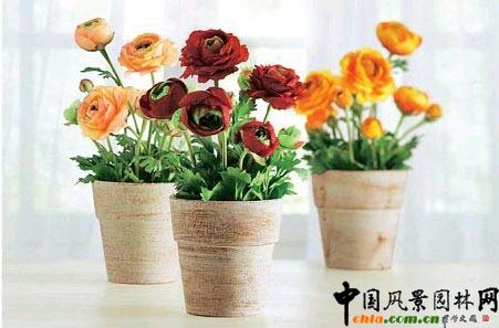 �k�����B�������{������p��(�D)