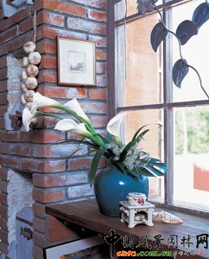 ������R��ɏ�b�c�Ҿ�(�D)