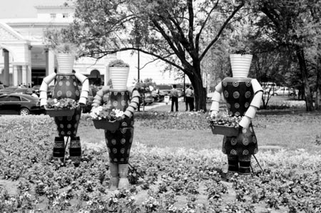 ��ֲ��ľ1205�f�� ���50����92�����Ϻ����@