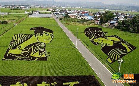 �ձ����r���ϵ�ˇ�g(�M�D)