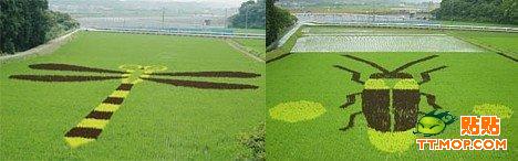 �ձ����r���ϵ�ˇ�g(�M�D)