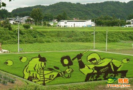 �ձ����r���ϵ�ˇ�g(�M�D)