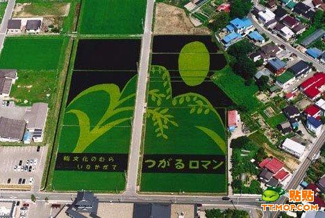 �ձ����r���ϵ�ˇ�g(�M�D)