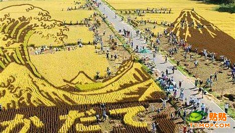 �ձ����r���ϵ�ˇ�g(�M�D)