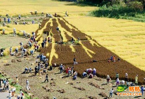 �ձ����r���ϵ�ˇ�g(�M�D)