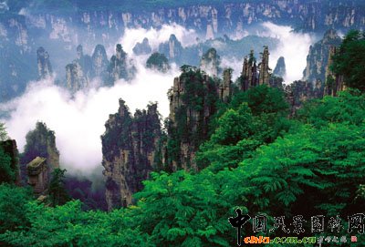 ���ҽ磺���O������Ĺ��@��(�M�D)