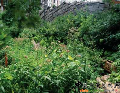 2009ASLA�C���OӋs�u�����I�鹫�@