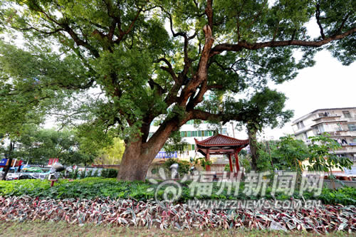 ͬ�ۈ@���@������(du��)���_(k��i)�š��ԡ��ۡ��֞����}