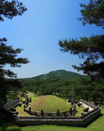 �c�����´��ڞg�[�DƬ