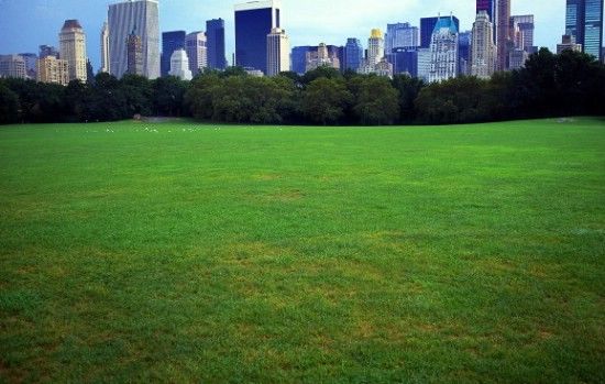 �c�����´��ڞg�[�DƬ