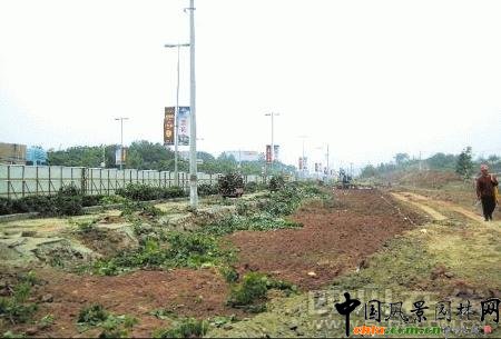 �ɶ�����ǧ�е���һҹ��ʧ ʩ����δ�������`Ҏ(gu��)(�D)