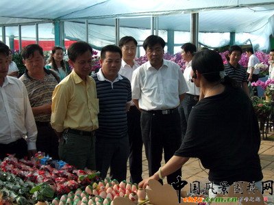 �������S������󻨻ܮa�I����(�D)