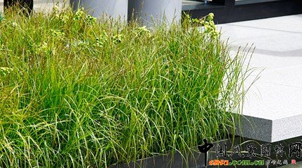 2009���Р�����չ���չ�@����ÿ���Ӎ(�M�D)