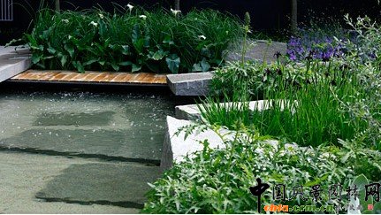 2009���Р�����չ���չ�@����ÿ���Ӎ(�M�D)