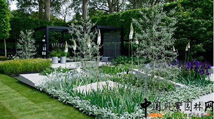 2009���Р�����չ���չ�@����ÿ���Ӎ(�M�D)