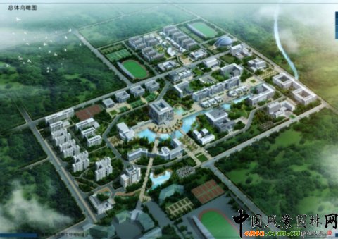 �ɶ���W���wҎ��