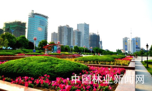 ������Gɫ���B(t��i)��Ŀ��(bi��o)�~�M(j��n)