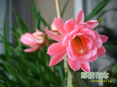 ����ɻ����B�oҪ�c(�D)