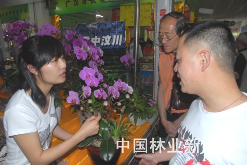 �D�黨ľ��I�T�����������B�aƷ��